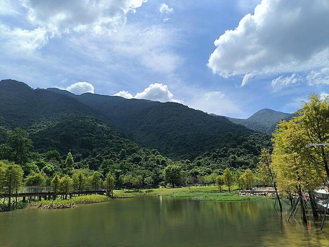 《四不像神秘亮相湖北——探秘神秘生物，守护生态多样性》